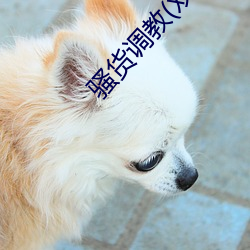 鸿运国际·(中国)会员登录入口