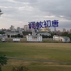 调教初唐 （一站式）