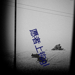 愿者上钩gl