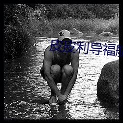 皮皮(皮)利(利)导福航
