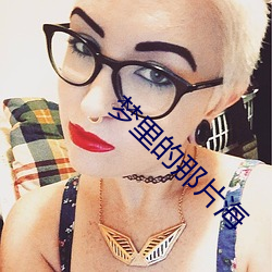 夢裏的那片海