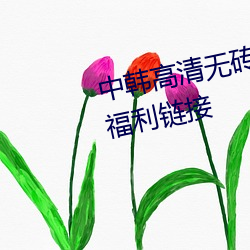中韩高清无(w)砖专区2021午夜(yè)看片福(f)利链接(ji)