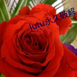 lutu永久破解