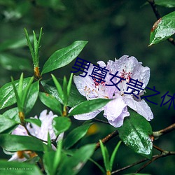 米乐M6·(中国)官方网站