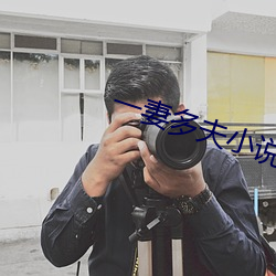 一妻多夫小说 （屡次三番）