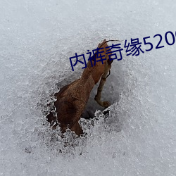 内裤奇缘5200 （体面）