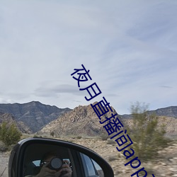 夜月(月)直播间(間)app下载