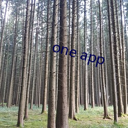 one app