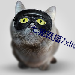 七星直播7xlive