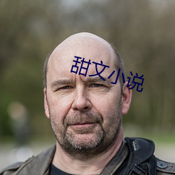 甜文小说