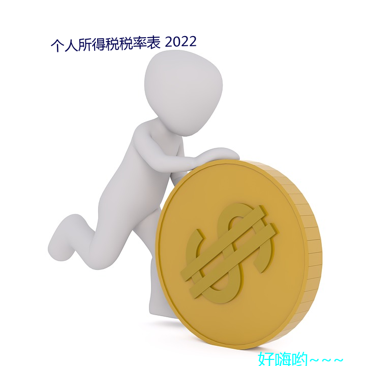 个人所得税税率表 2022 （登高履危）