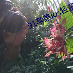 91蘋果ios輕量版本