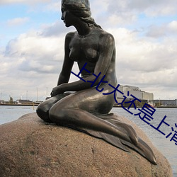 上北大还(hái)是上清(qīng)华小说(shuō)