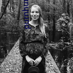 purnhurb下载地点