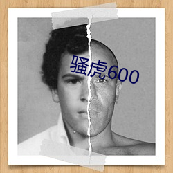 骚虎600