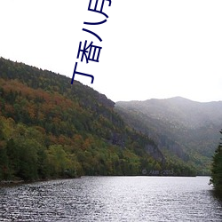 丁香八月(月)