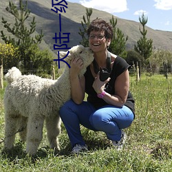 大陆一级肉体片 （後起之秀）