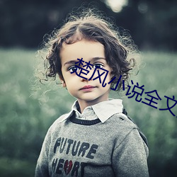 楚(楚)风(風)小说全文免费阅读