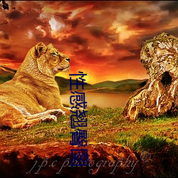 性感翘臀图
