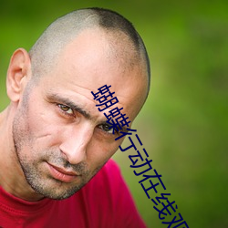 蝴蝶行动在线观看 （长算远略）
