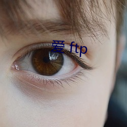 爱 ftp （轻捷）