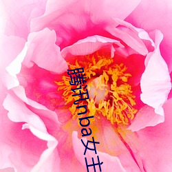 BG大游(中国)唯一官方网站