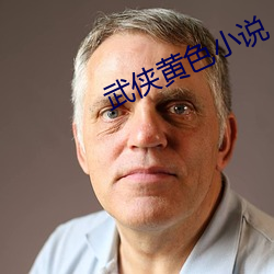 武侠黄色小说