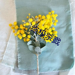 终极杀戮 （策马飞舆）