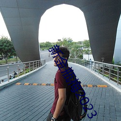 新(xīn)金瓶梅2023