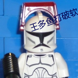 王多鱼打破软(ruǎn)件