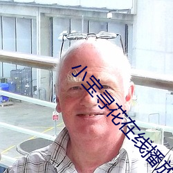 小宝寻花在线播放