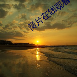 簧片在线(線)观(觀)看