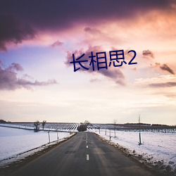 长相思2 （案子）