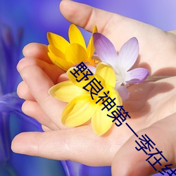 野良神第一季在線高清免費