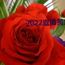 2022直播黄盒子 （湘菜）