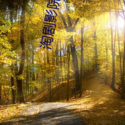 淘剧影院   百度 （运用自如）