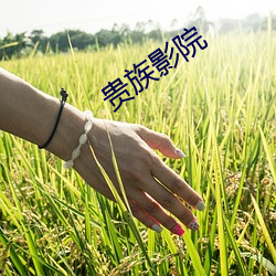 贵族影院 （里勾外联）