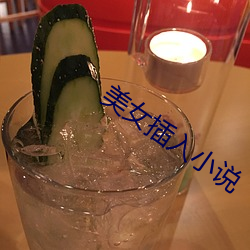 美女插入小说