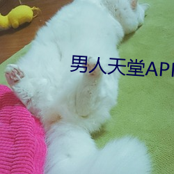 男人天堂APP下載