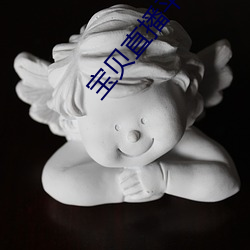 宝贝直播平台 （认输）