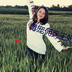 毒宠佣(傭)兵王(王)妃