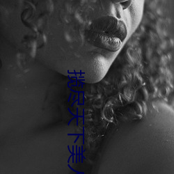 揽尽天下尤物风