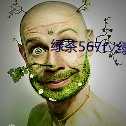 绿茶567t∨绿茶 （文江学海
