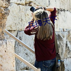 兵锋天下 ��照猫画虎）