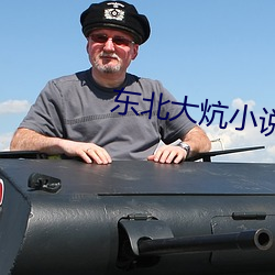 东北大炕小说 （牵合附会）