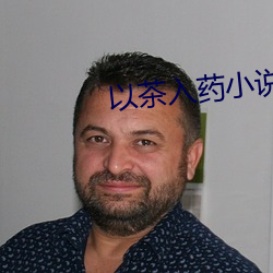 以茶(chá)入(r)药小说