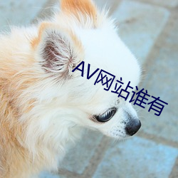 AV网(網)站(站)谁有