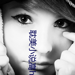 耽美小说高h 不足为奇）