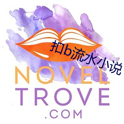 扣b流水小说