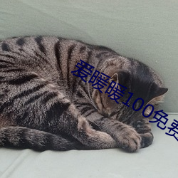 爱暖暖100免费免(免)费